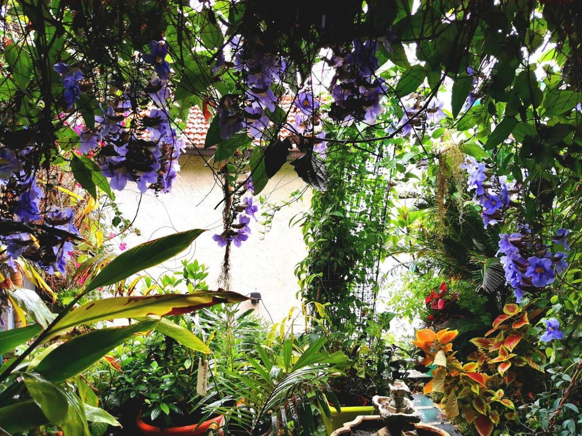 Romantic Casa Lorenzina Affittacamere Ventimiglia Kültér fotó