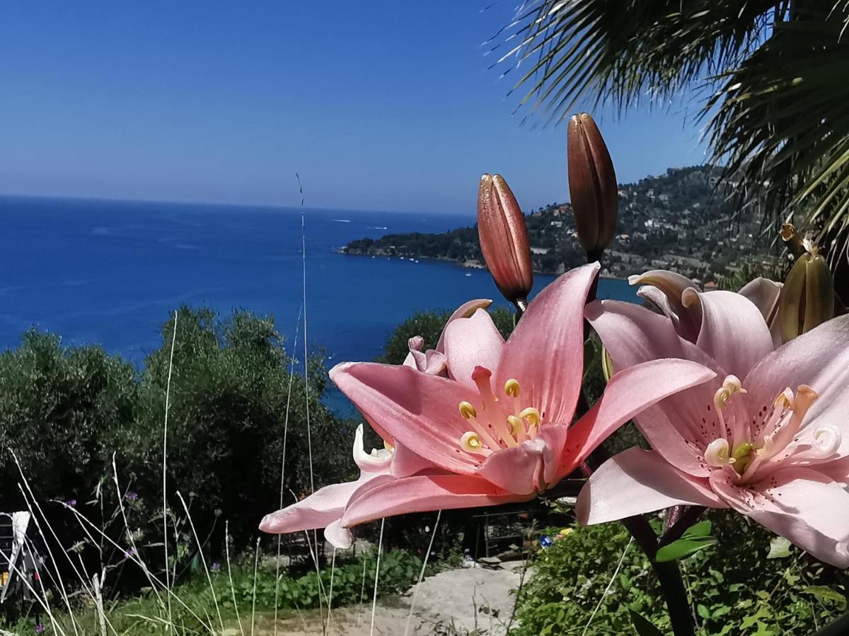 Romantic Casa Lorenzina Affittacamere Ventimiglia Kültér fotó