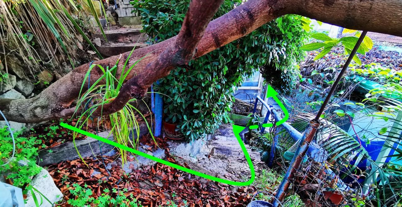 Romantic Casa Lorenzina Affittacamere Ventimiglia Kültér fotó