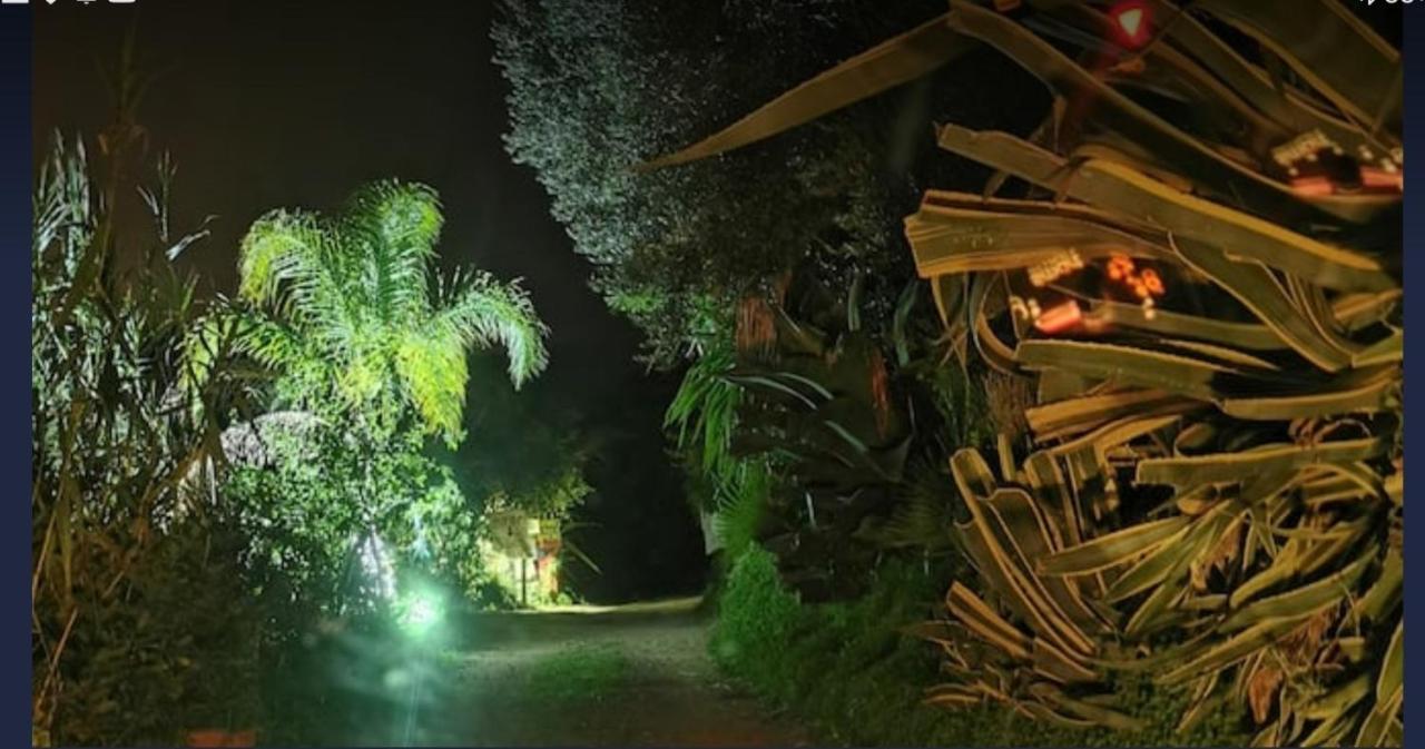 Romantic Casa Lorenzina Affittacamere Ventimiglia Kültér fotó