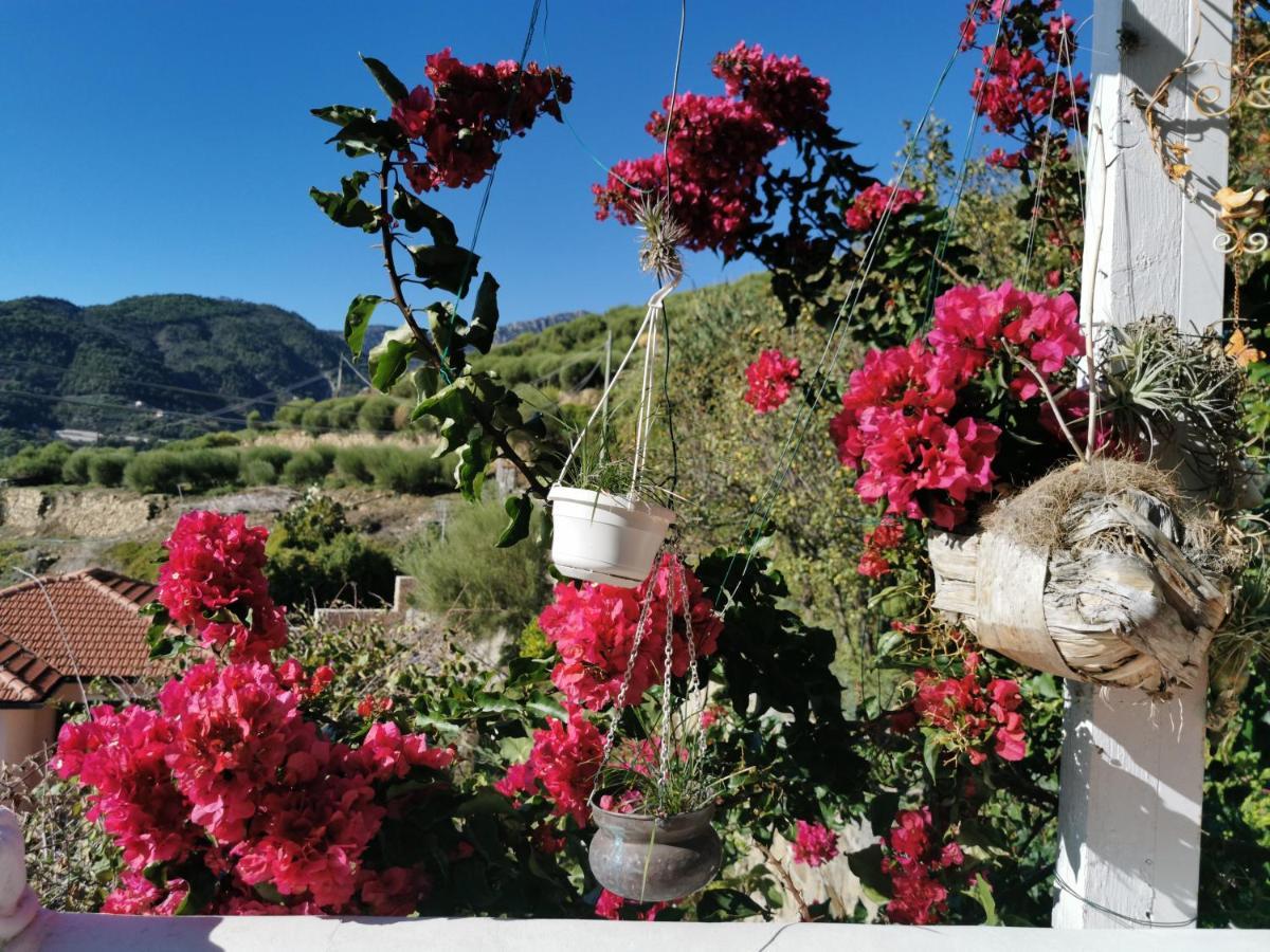 Romantic Casa Lorenzina Affittacamere Ventimiglia Kültér fotó